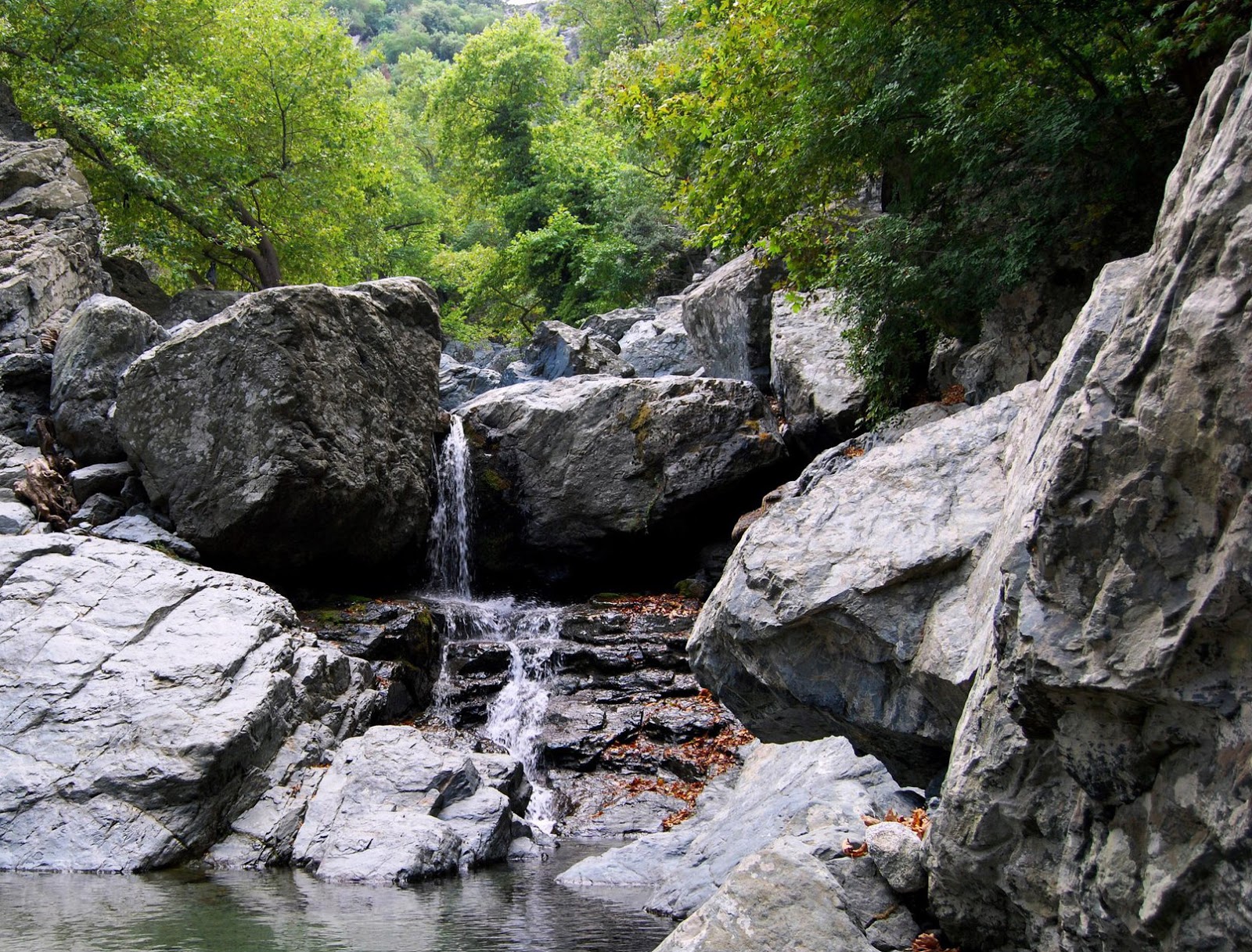gria baura