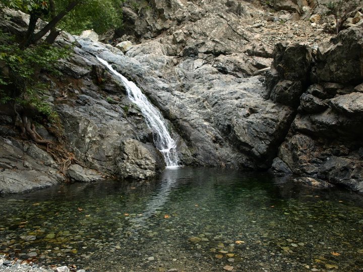 ναμε