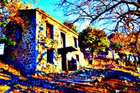 The Blue House